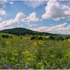 Sommer im Eder Bergland 