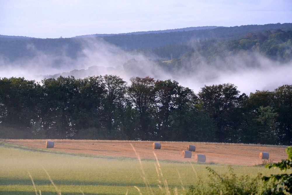 Sommer im Ederseebergland