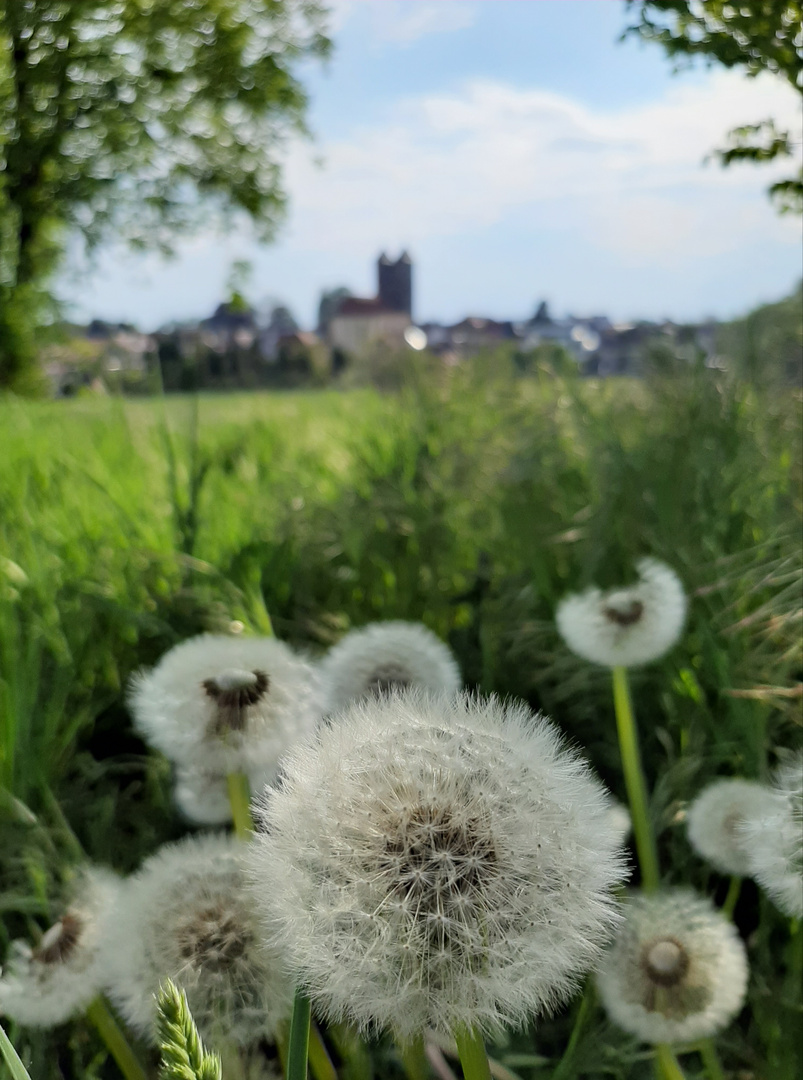 Sommer im Eichsfeld