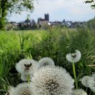 Sommer im Eichsfeld