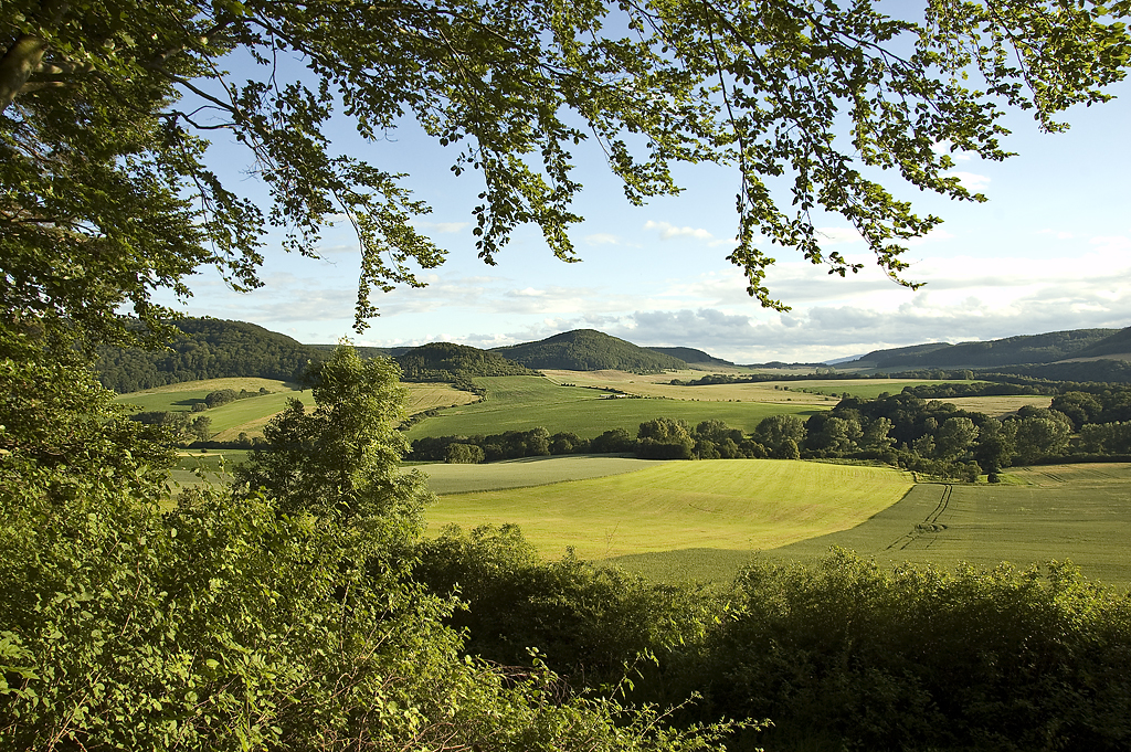 Sommer im Eichsfeld