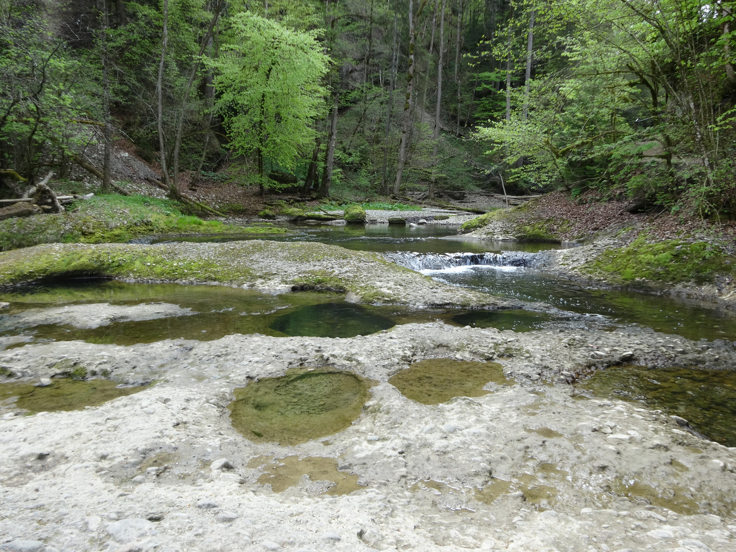 Sommer Im Eistobel