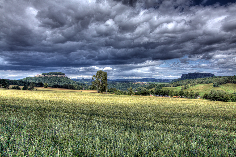 Sommer im Elbsandsteingebirge