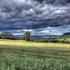 Sommer im Elbsandsteingebirge