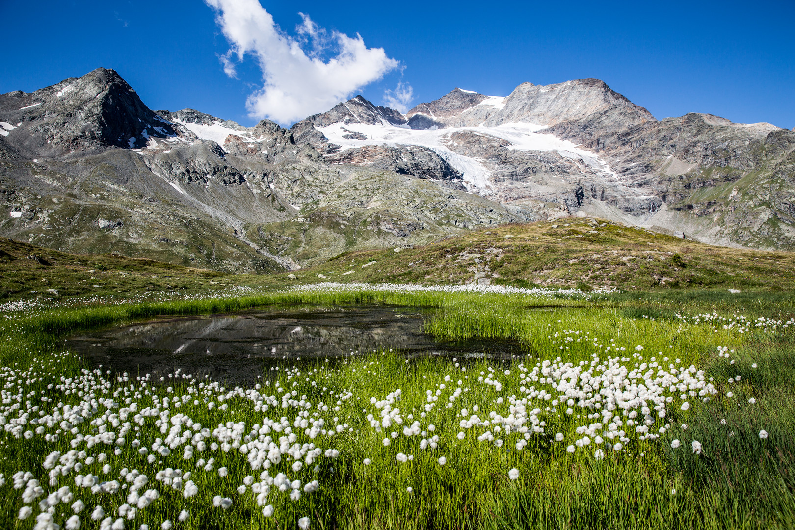 Sommer im Engadin 