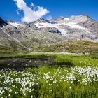 Sommer im Engadin 