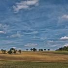 Sommer im Feld