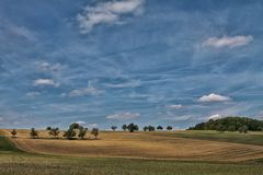 Sommer im Feld