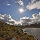 Sommer im Fjäll