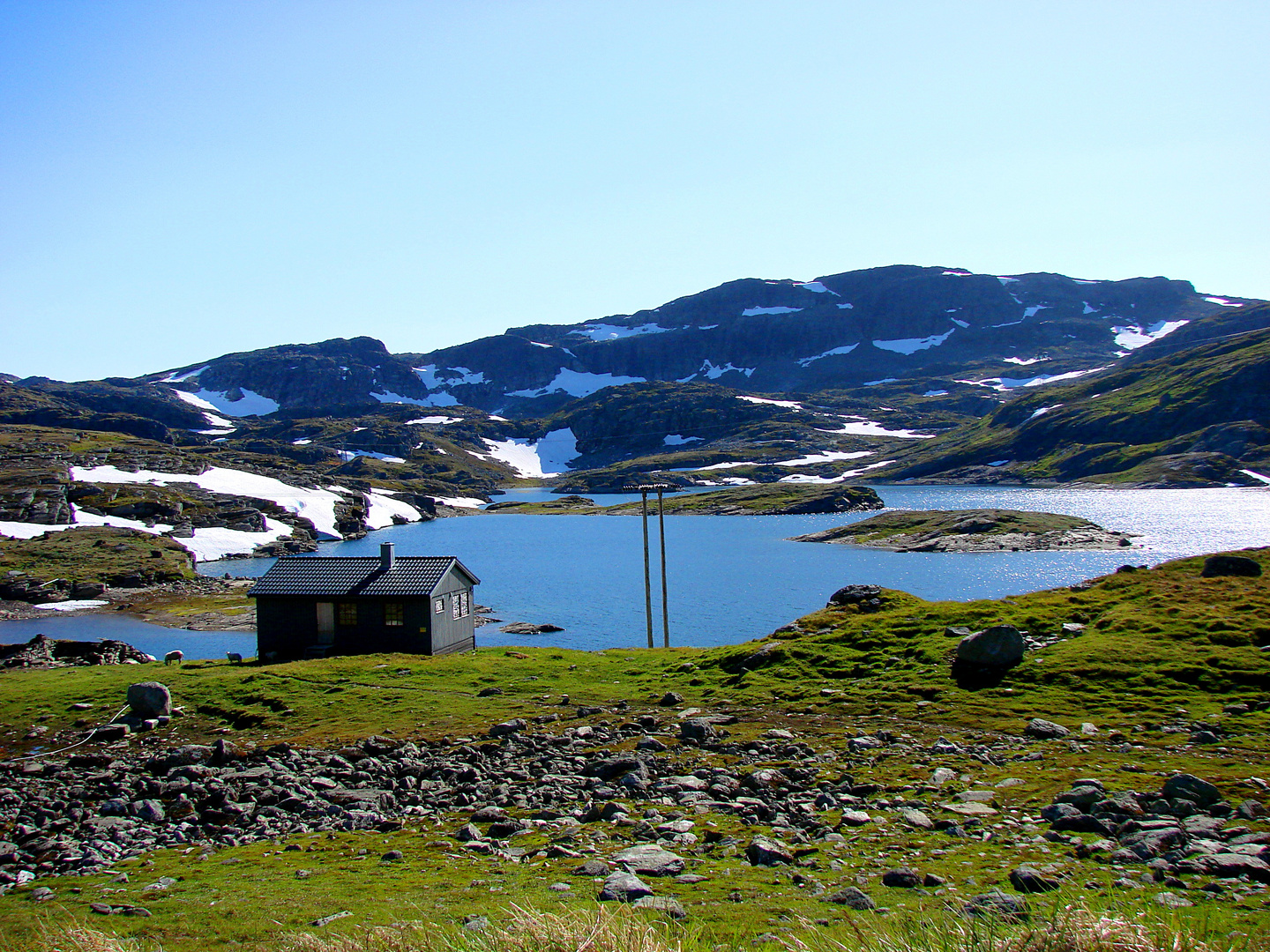 Sommer im Fjell..........