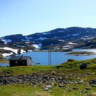 Sommer im Fjell..........