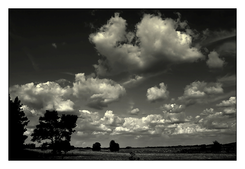 sommer im fläming