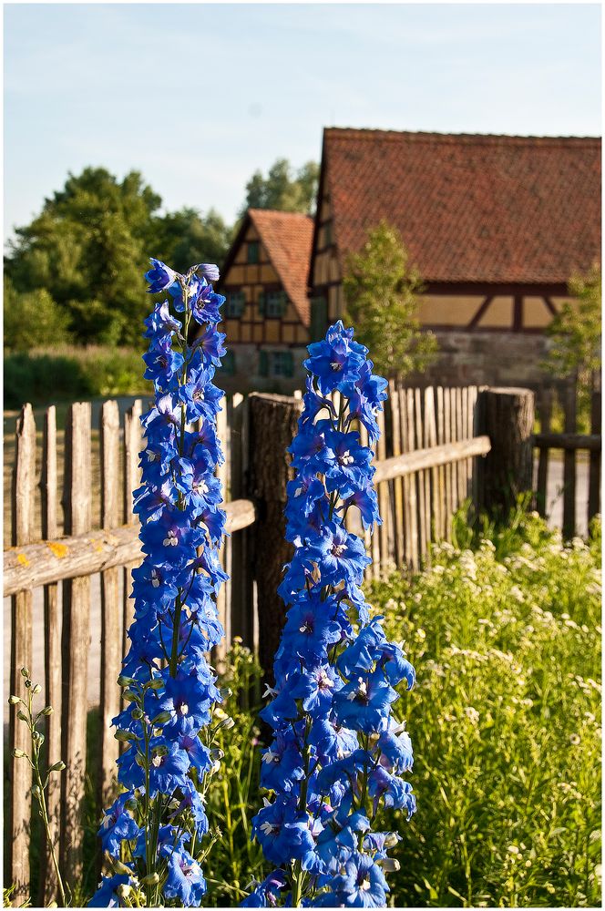 Sommer im Fränkischen Freiland Museum Bad Windsheim