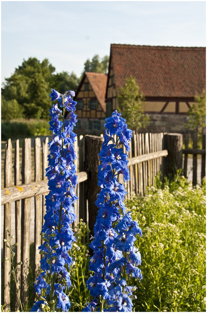 Sommer im Fränkischen Freiland Museum Bad Windsheim