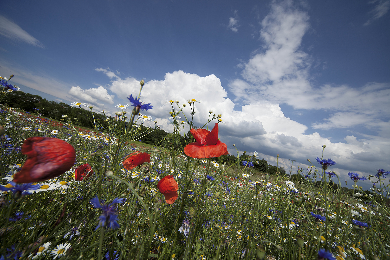 Sommer im Frankenland