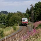 Sommer im Frankenwald