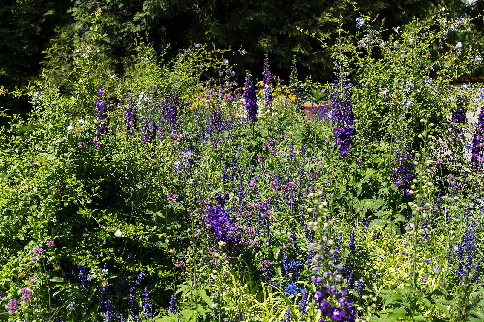 Sommer im Garten Foto &amp; Bild landschaft, lebensräume