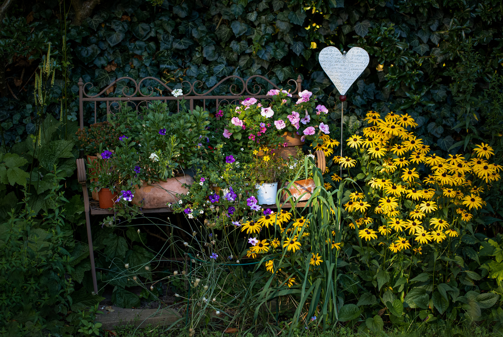 Sommer im Garten