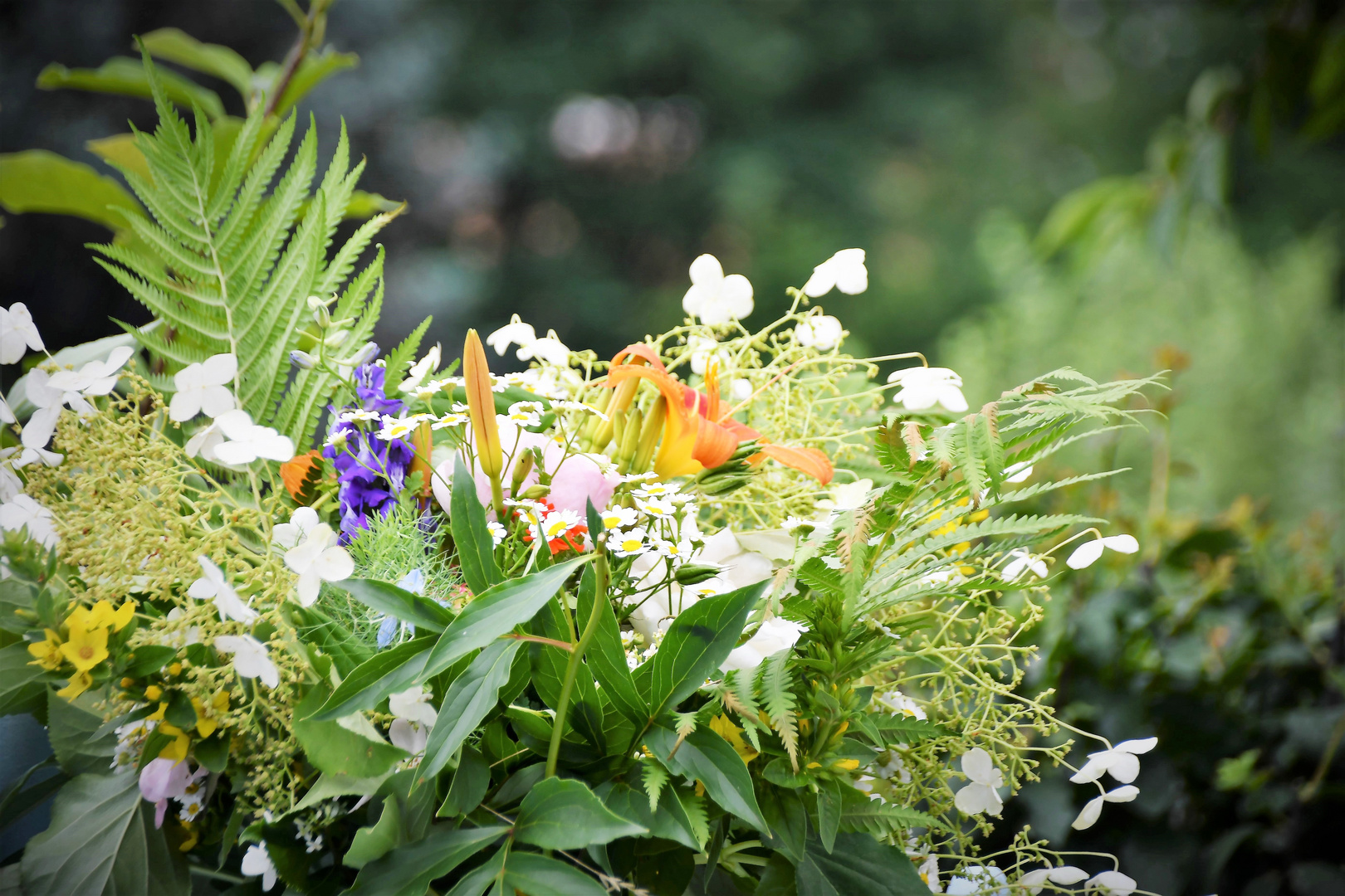 Sommer im Garten