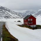 Sommer im Gaulafjell