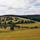 Sommer im Gebirge (2)