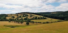 Sommer im Gebirge (2)