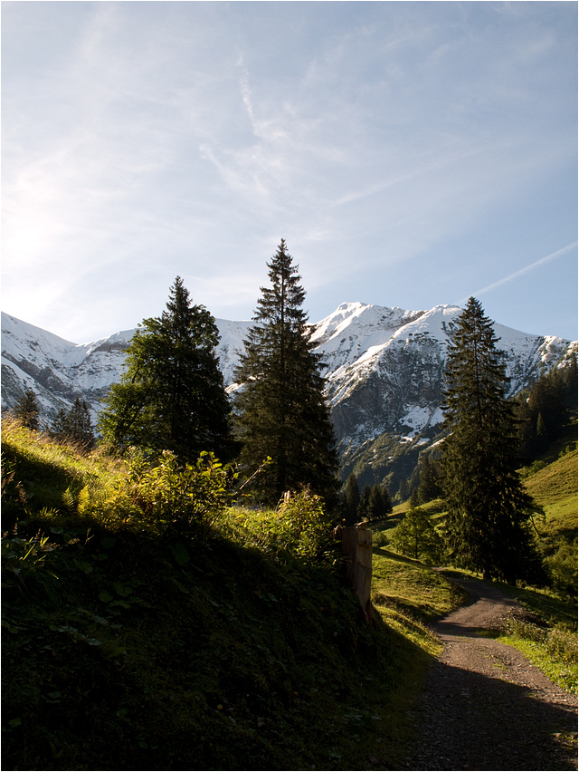 Sommer im Gerstrubental