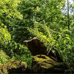 Sommer im Grünefelder Park 6