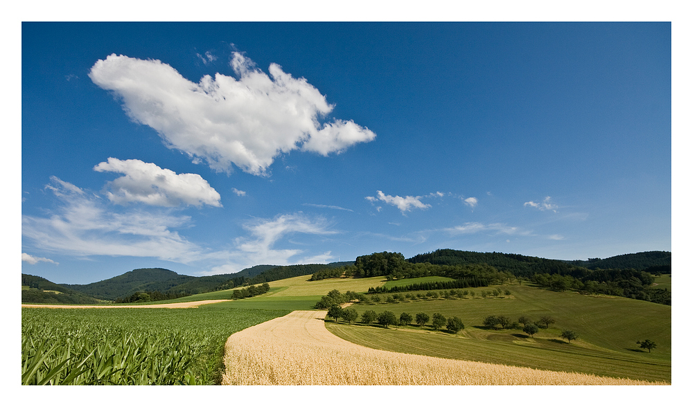 Sommer im Harmersbachtal