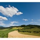 Sommer im Harmersbachtal