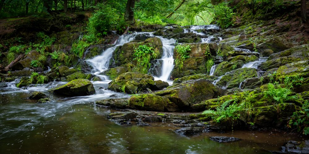 Sommer im Harz