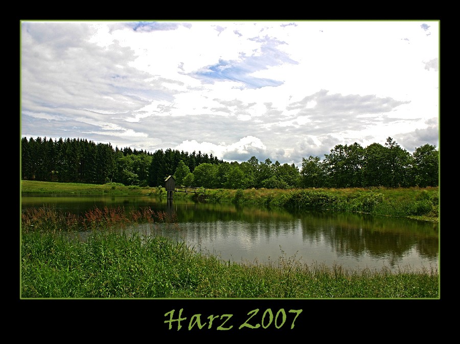 Sommer im Harz