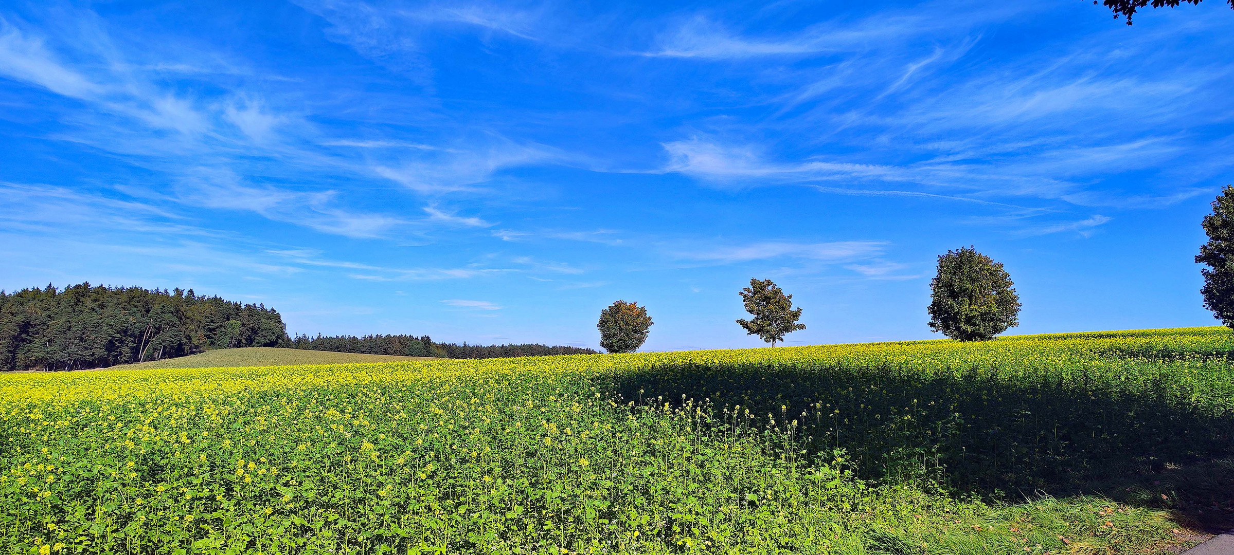 Sommer im Herbst ?