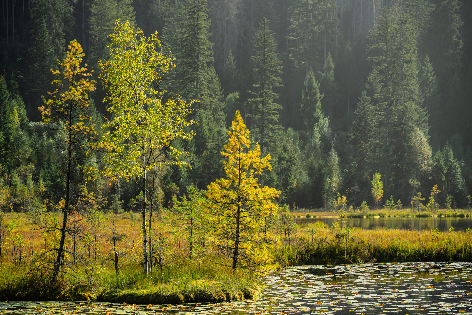 Sommer im Herbst