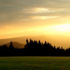 Sommer im Hochschwarzwald 1