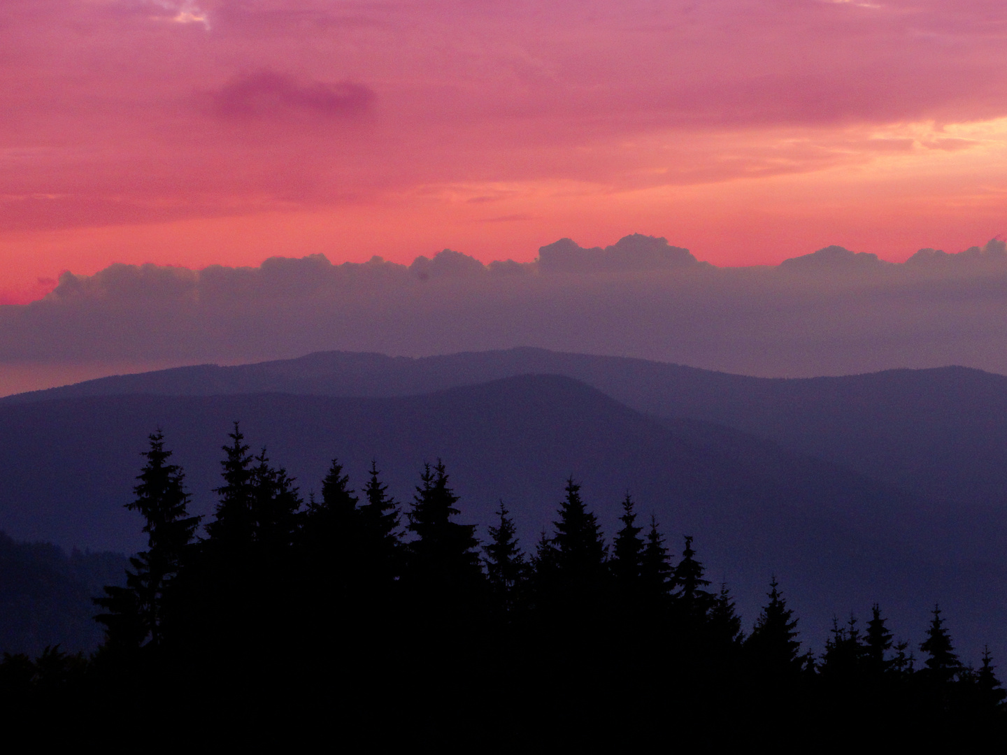 Sommer im Hochschwarzwald 2