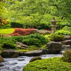 Sommer im Japangarten