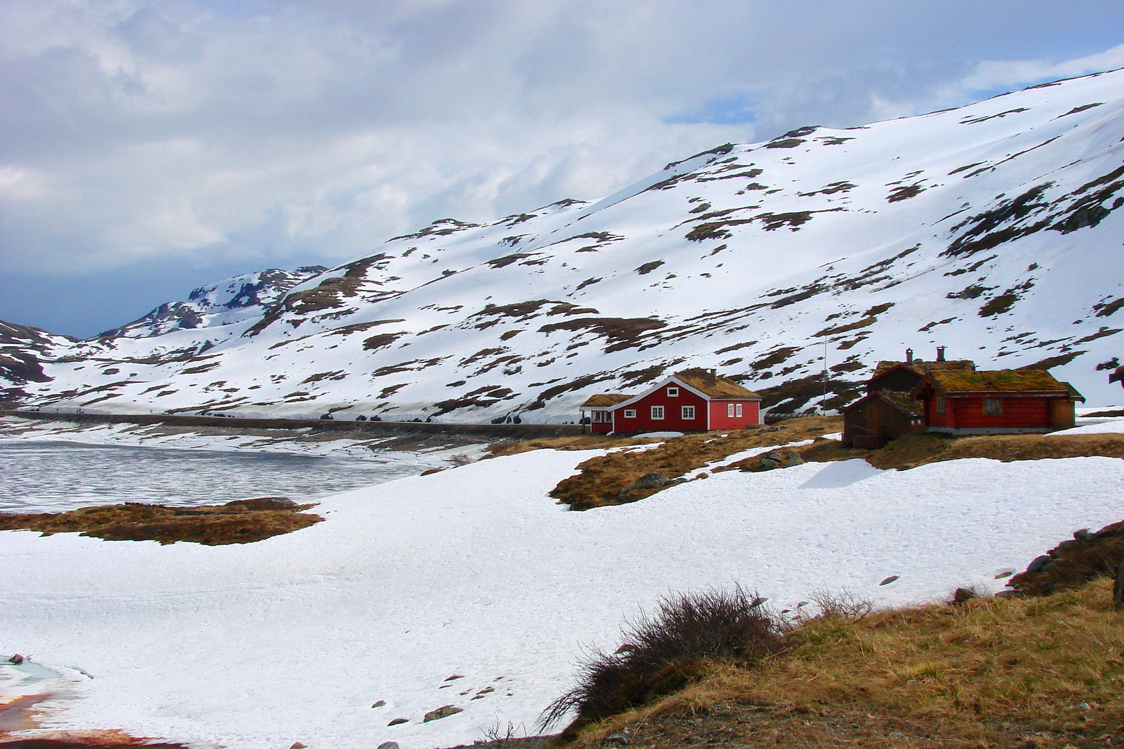 Sommer im Jotunheimen NP