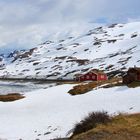 Sommer im Jotunheimen NP