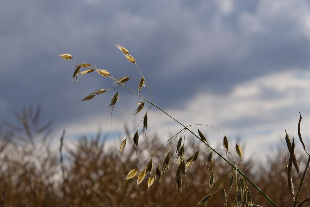 Sommer im Juli 2020