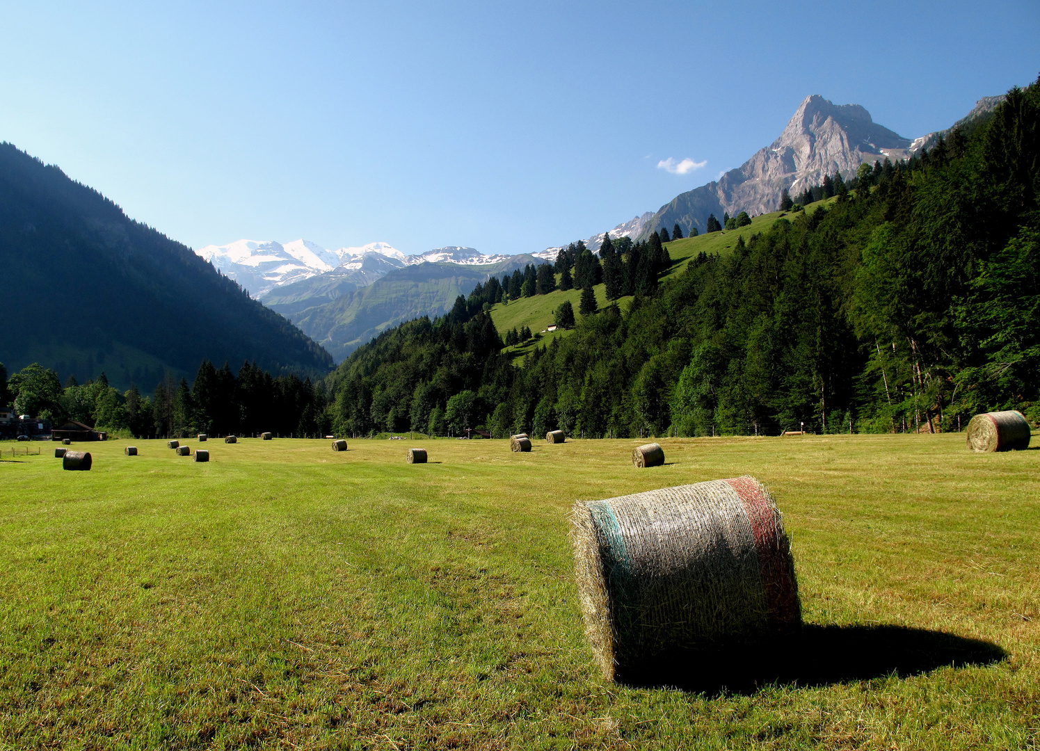 Sommer im Kiental im Berner Oberland