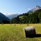Sommer im Kiental im Berner Oberland