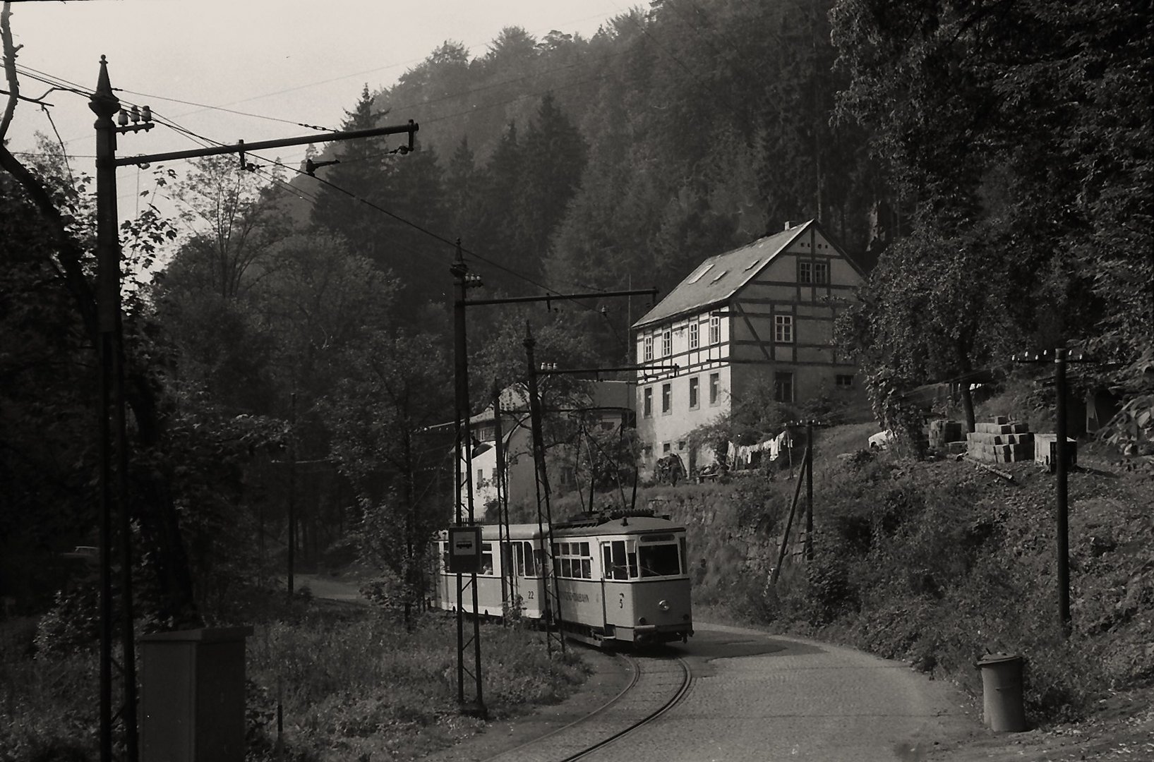 Sommer im Kirnitzschtal