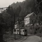 Sommer im Kirnitzschtal