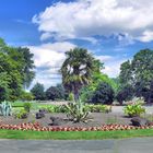 Sommer im Kölner Rheinpark