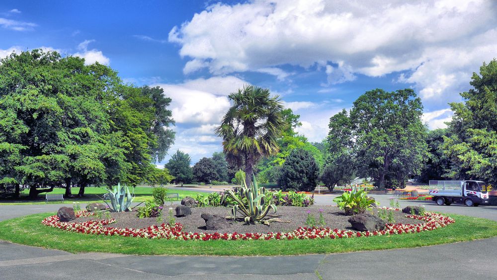 Sommer im Kölner Rheinpark