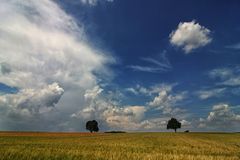 Sommer im Kraichgau