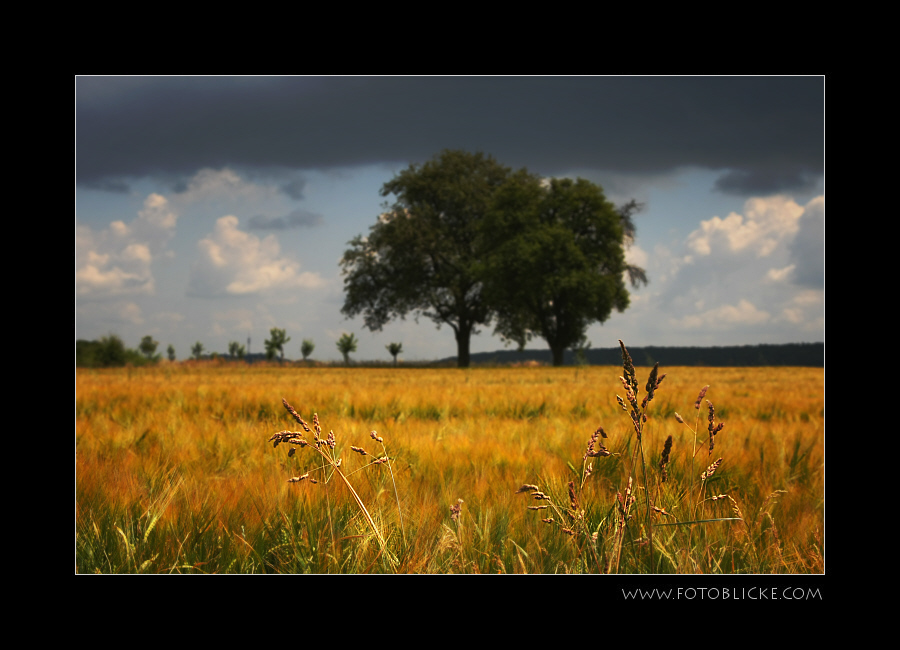 Sommer im Kraichgau