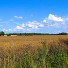 Sommer im Land Brandenburg