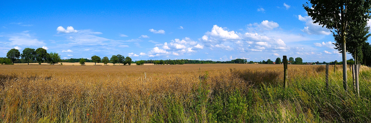 Sommer im Land Brandenburg